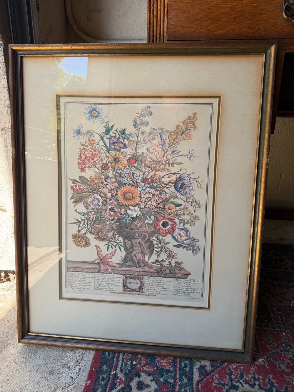 vintage Robert Furber "November" botanical print from the "Twelve MonthsFlowers